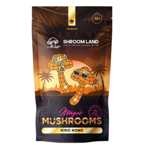 King Kong Magic Mushrooms