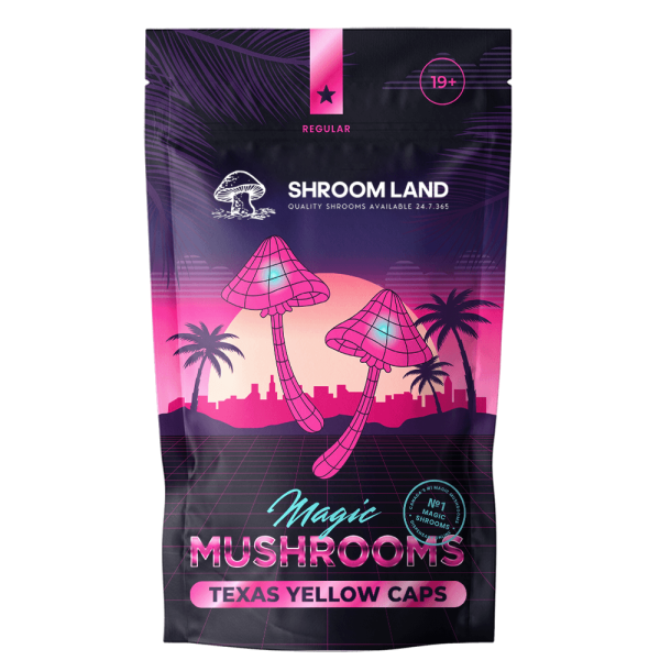 Texas Yellow Caps Magic Mushrooms